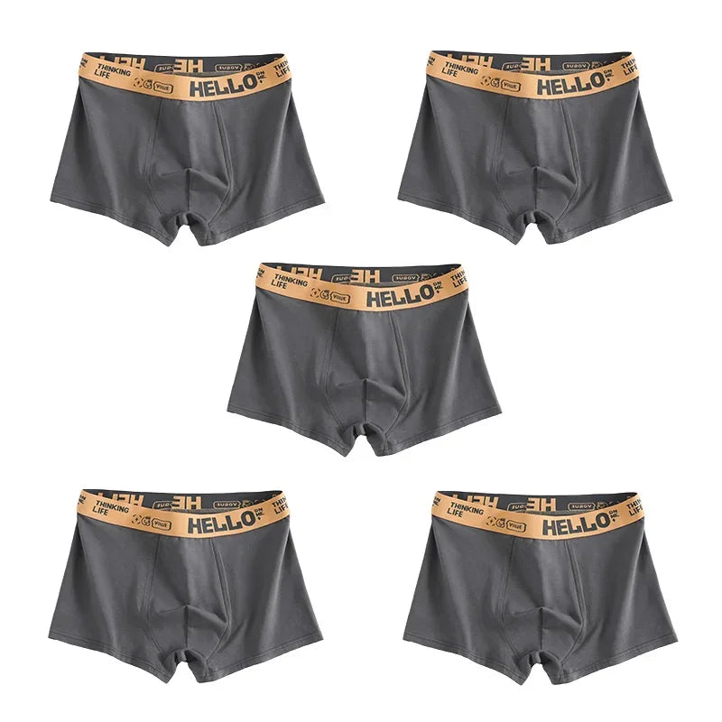 1/5PCS Men's Breathable Underwear – Comfy, Quick-Drying Stretchy Boxer Trunks, Sexy & Trendy Boxer Panties