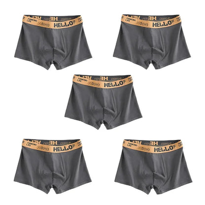 1/5PCS Men's Breathable Underwear – Comfy, Quick-Drying Stretchy Boxer Trunks, Sexy & Trendy Boxer Panties