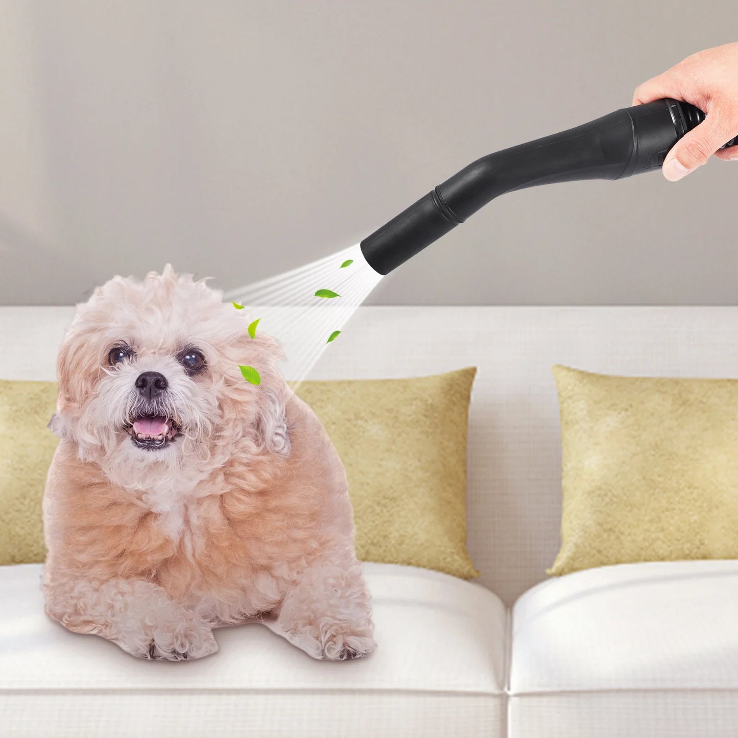 SucceBuy 2.6 Gallon Wet & Dry Shop Vacuum – 2.5 Peak HP 3-in-1 Portable Cleaner with Blower Function & Attachments