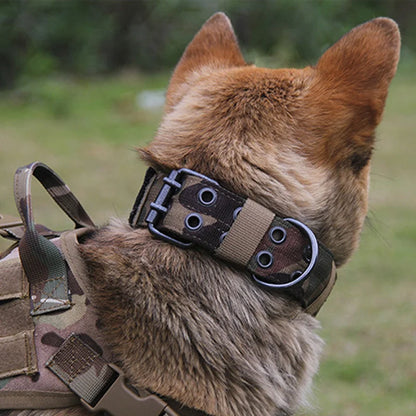 Adjustable Reflective Nylon Dog Collar – Heavy Duty Tactical Training Collar for German Shepherds