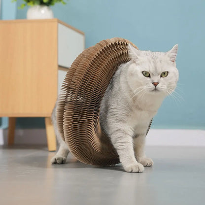 Magic Organ Cat Scratcher Toy – Round Corrugated Scratch Board for Cats, Claw Grinding Accessories (1/2pcs)