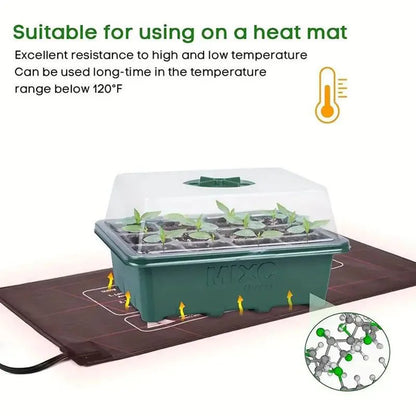 12-Well Plastic Seedling Tray | Insulated Pot for Succulent & Seed Sowing