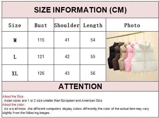 Winter Sleeveless Down Vest for Women – Warm Stand Collar, Zipper Jacket, Quilted Cropped Casual Street Outerwear