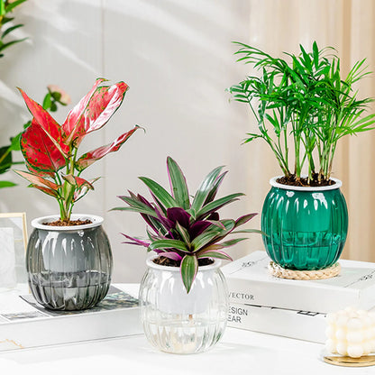 Modern Self-Watering Mini Round Flower Pot - Perfect for Succulents, Indoor Plants, and Effortless Gardening Decor