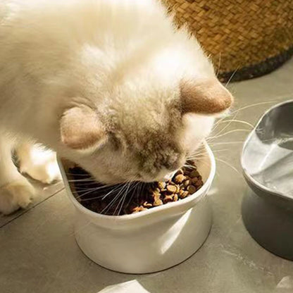 Elevated Cat & Dog Food Bowl - Anti-Vomiting Whisker-Friendly Pet Feeder