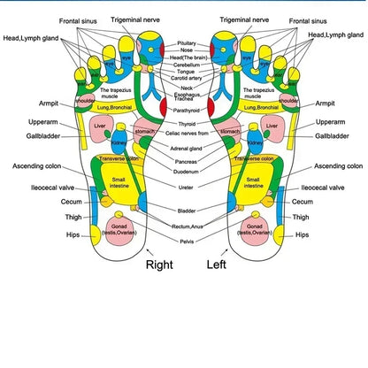 Foot Massage Mat Acupressure Pad — Trigger Point Therapy for Pain Relief, Stress Reduction & Reflexology Walk