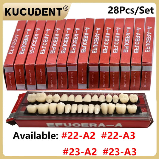 28-Teeth Dental Acrylic Resin Denture Set – Upper & Lower False Teeth Model (A2/A3, Shade 22# & 23#) for Dental Education & Research