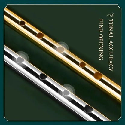 Miwayer Authentic Irish Tin Whistle Flute – C/D Key Penny Whistle with 6 Holes for Traditional Irish Music