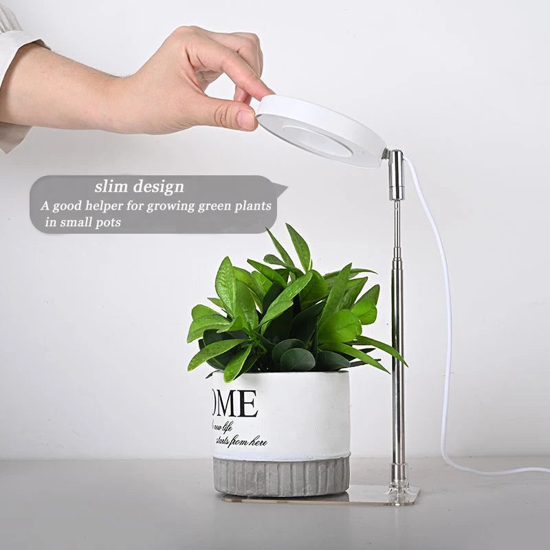 Full Spectrum Indoor Solar LED Growth Light - Four Gear Dimming for Fleshy Plants, Flower & Floor Telescopic Fill Light