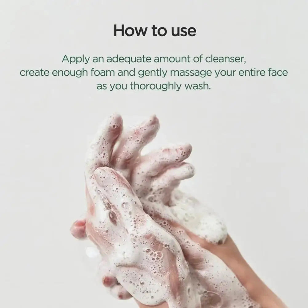 Heartleaf Quercetinol Deep Cleansing Foam Cleanser – Pore-Refining Skin Care for Women
