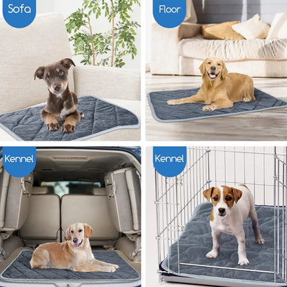 Self-Heating Pet Pad — Extra Warm Thermal Dog & Cat Crate Mat, Washable Anti-Slip Kennel Bed for Small & Medium Pets