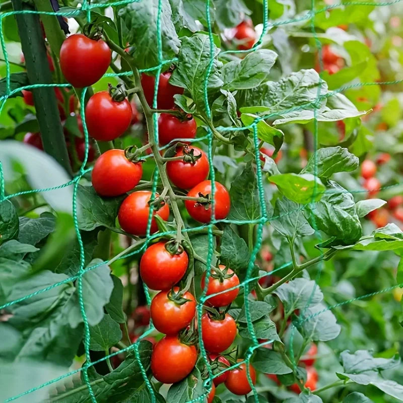 Heavy Duty Garden Plant Trellis Netting – Polyester Square Mesh Support for Climbing Plants, Vegetables & Vines