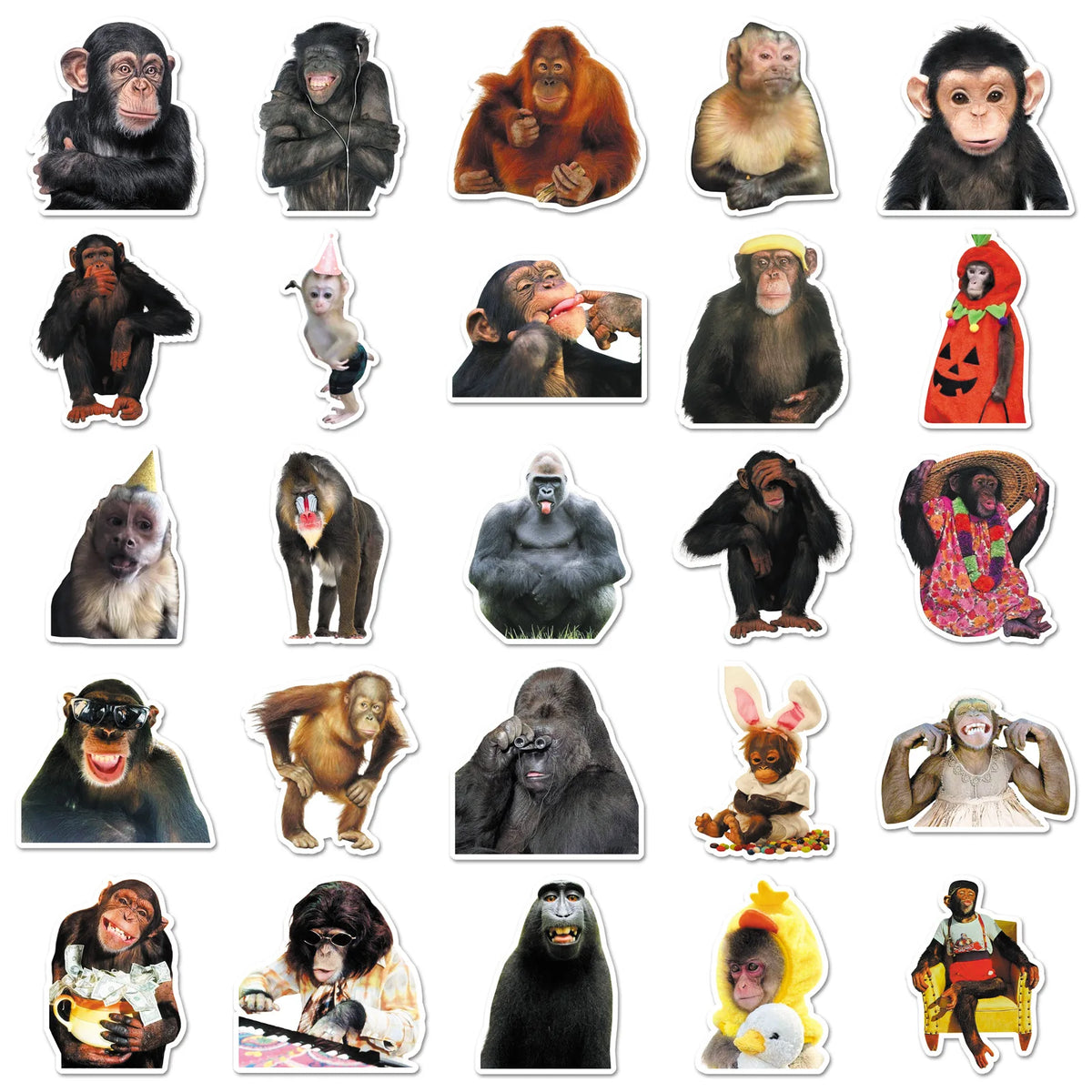 50-Piece Funny Monkey & Orangutan Stickers - Waterproof Cartoon Doodle Decals for Notebooks, Helmets, Suitcases, Motorcycles, and Fridges