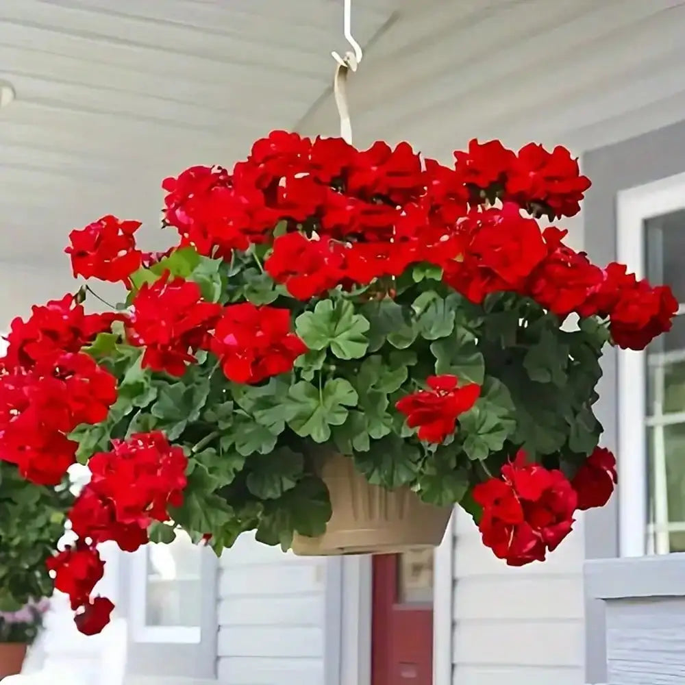 Bright Red Artificial Flowers – UV-Resistant Decor for Indoor & Outdoor Use, Garden, Porch, Window & Vase Centerpieces (1/2/4 Pack)