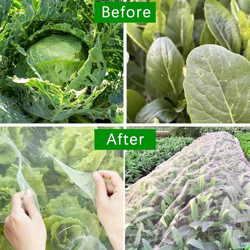 Garden Plant Insect Protection Net – Anti-Bird & Pest Control Cover for Vegetables, Fruits, and Greenhouse Use