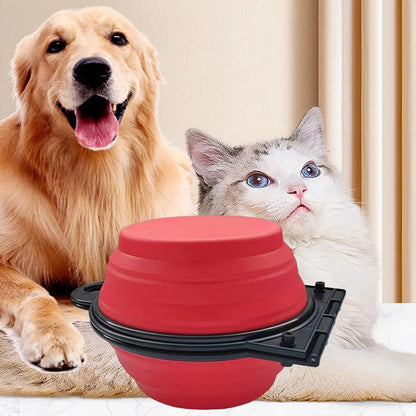 Foldable Dual Bowl Feeding Bowl | Portable Outdoor Travel Dog and Cat Drinking Bowl | 2-in-1 Design