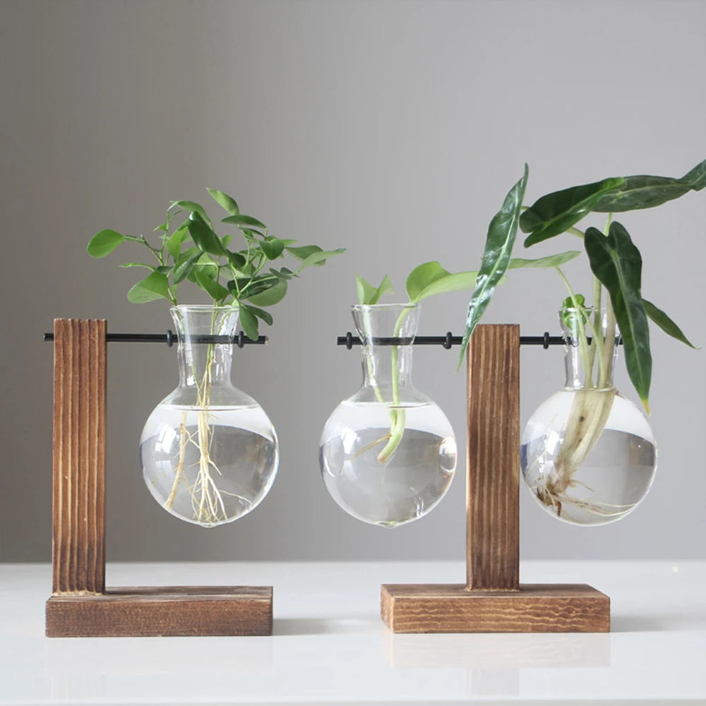 Glass Bulb Planter Vase - Wooden Stand Hydroponic Desktop Decor