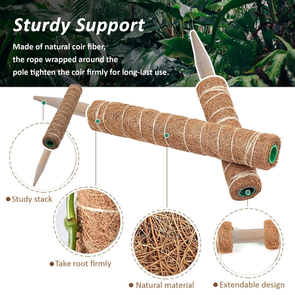 Indoor Climbing Plants Moss Pole - 30/40/50cm Plant Support with Garden Ties for Upward Growth - Ideal for Creepers