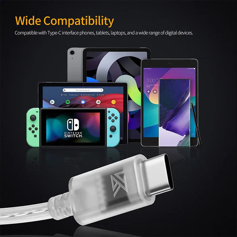 KZ OFC Silver-Plated Earphone Upgrade Cable - Type-C 2PIN Replacement Cable with Optional Microphone