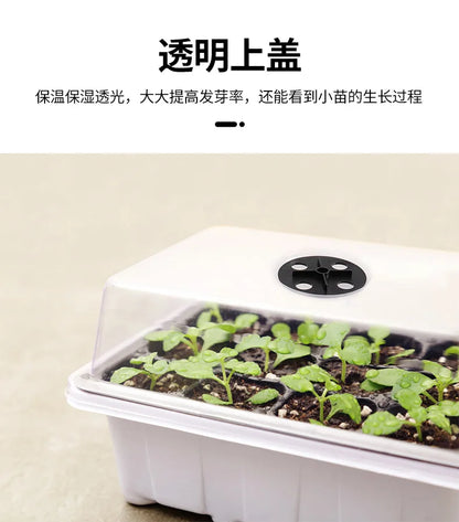 12-Well Plastic Seedling Tray | Insulated Pot for Succulent & Seed Sowing