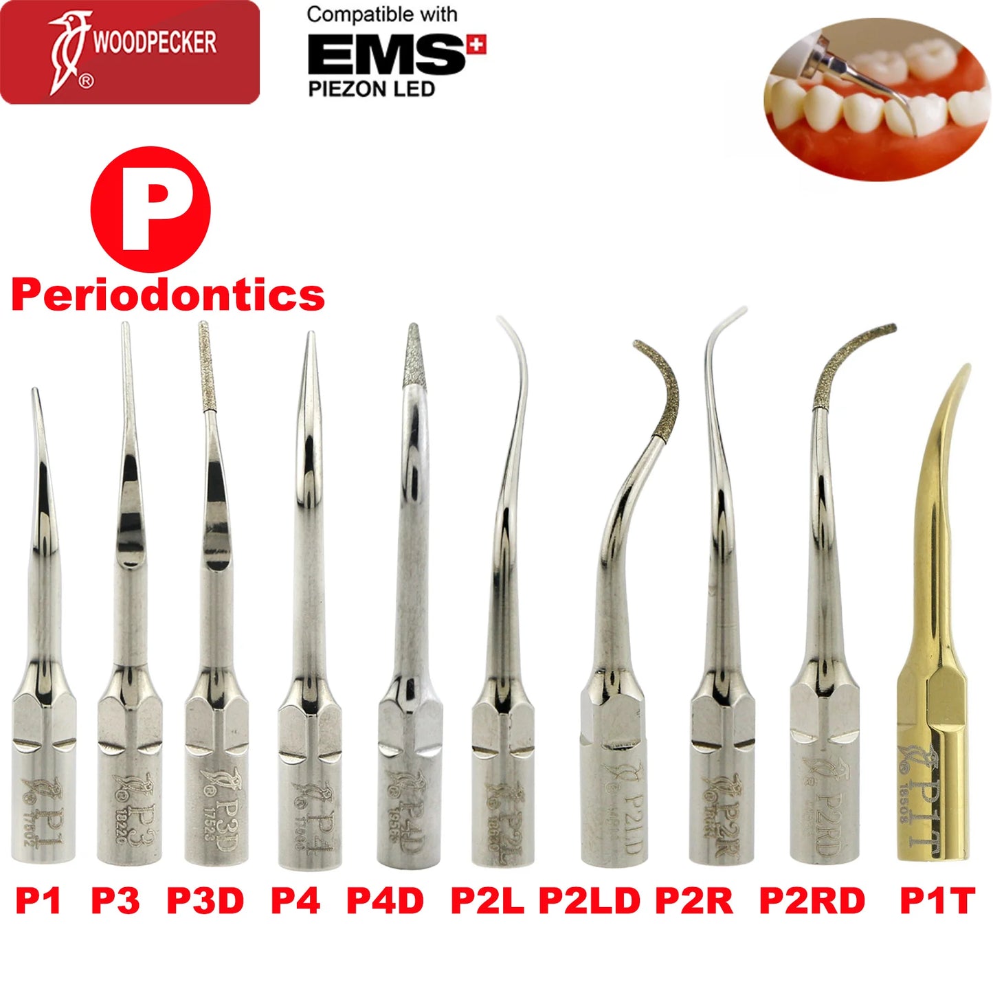 Woodpecker Dental Scaler Tips – Ultrasonic Tooth Cleaning, Endo & Perio Scaling Tips, Fit EMS UDS Scaler Handpiece