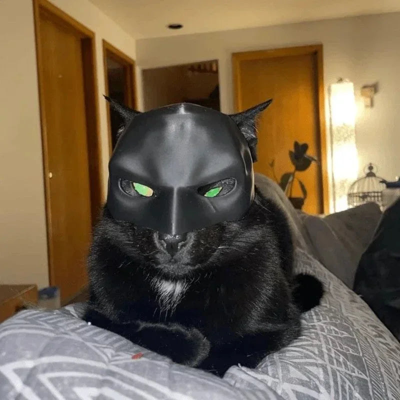 Cat Avenger Bat Mask - 3D Printed Halloween Cosplay Hat and Pet Photo Prop