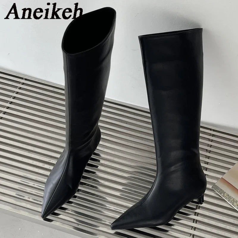 Aneikeh 2025 Fashion Sexy Pointed Low Heel Knee-High Boots – Women's Spring/Autumn PU Western Party Boots (Size 35-40)