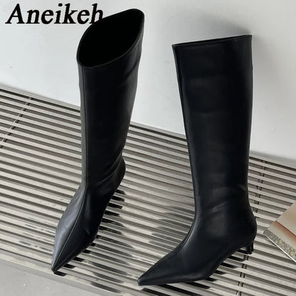 Aneikeh 2025 Fashion Sexy Pointed Low Heel Knee-High Boots – Women's Spring/Autumn PU Western Party Boots (Size 35-40)