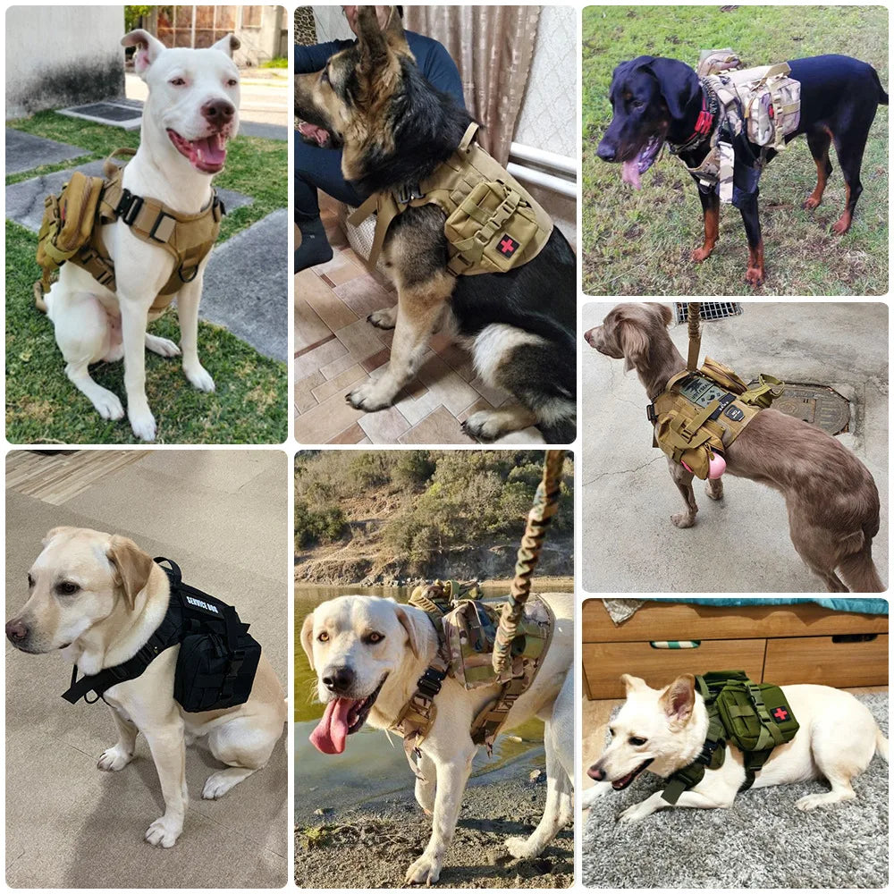 3Pcs Dog Tactical Harness Bags — 2 Pouch MOLLE Set & 1 Belt Bottle Holder for Military Training & Outdoor Use