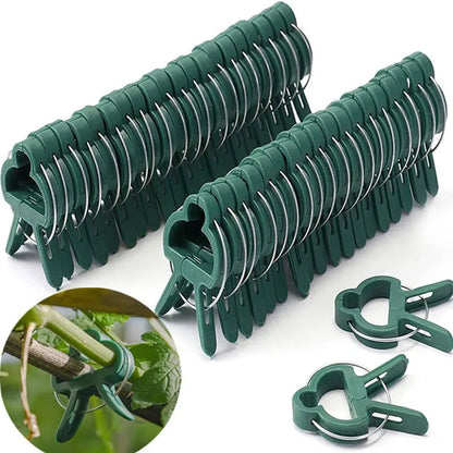 20pcs Reusable Plant Fixing Clips – Greenhouse Brackets for Vines, Flowers, Seedlings & Garden Stem Support