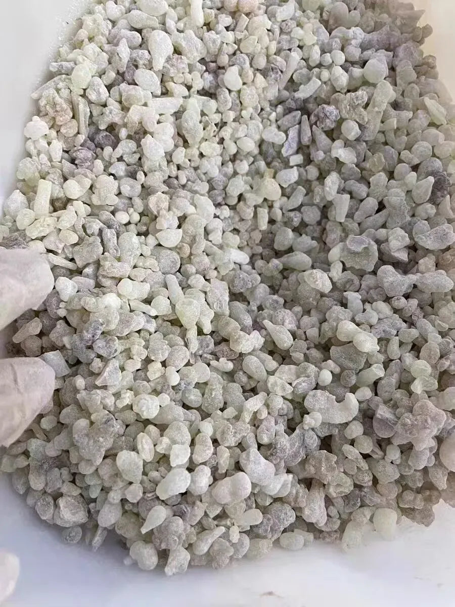 Premium Omani Hojari Frankincense Resin - Oil-Rich Aromatic Resin for Meditation & Aromatherapy