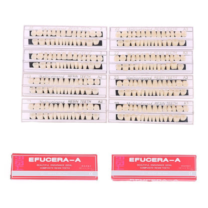 Dental Teeth Teaching Model – Professional Oral Care Training & Dental Material Tool