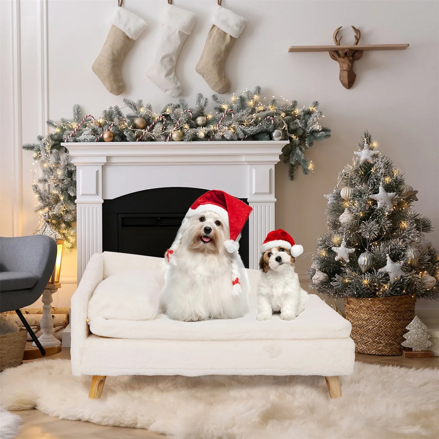 Elevated Pet Bed — Nordic Style Stool Bed with Cozy Waterproof Pad & Wooden Legs for Small Dogs & Kittens