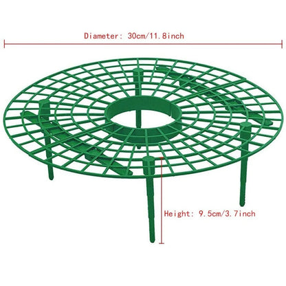 Strawberry Supports Fruit Stand | Vegetable Growing Rack for Garden | Protecting Vines Gardening Tool