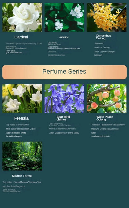 500ML Large Capacity Gardenia Essential Oil – Long-Lasting Aromatherapy Supplement for Home & Indoor Fragrance