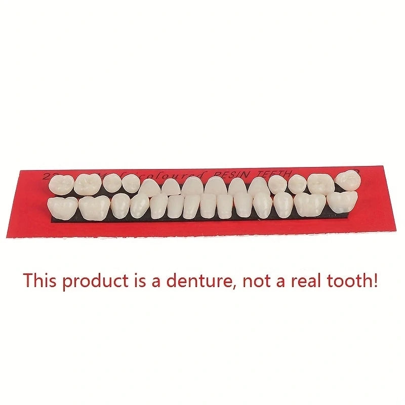 28pcs Dental Training Resin Teeth Model Set, Permanent Denture Practice Kit for Dentistry Technician Education & Teaching Props