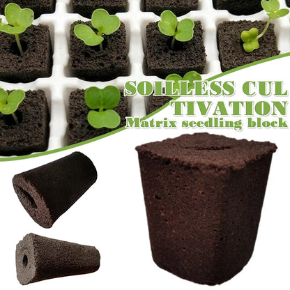 50pcs Seed Root Growth Sponges – Soilless Seedling Starter Plugs for Hydroponic Flowers and Plants