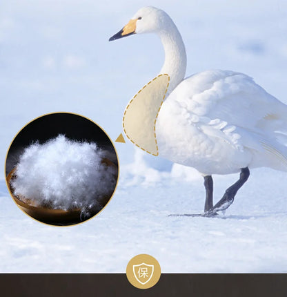 95% White Goose Down Duvet – Five-Star Hotel Quality, Warm Double or Single Goose Down Comforter