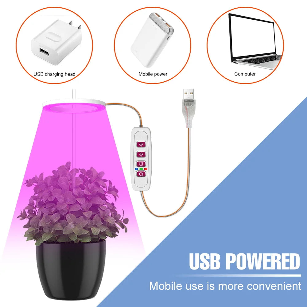 LED Phytolamp Indoor Grow Lights - Full Spectrum Hydroponics Plant Lamp for Flower Seeds Cultivation - DC5V USB LED Growth Light