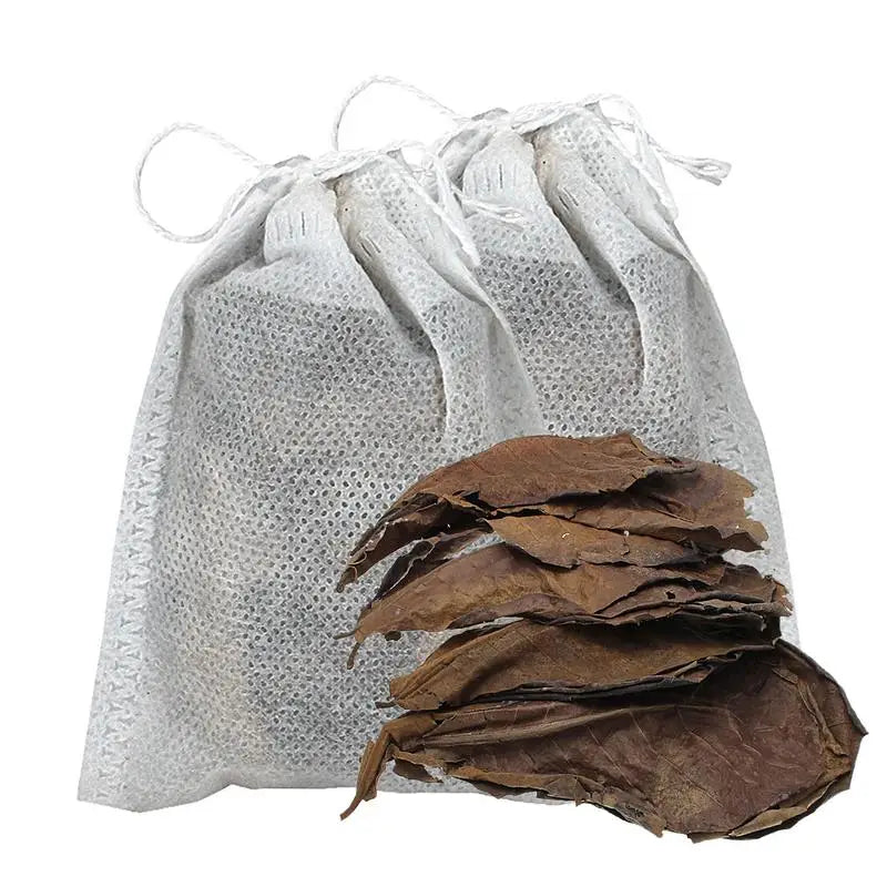 Aquarium Almond Catappa Leaves – Betta & Shrimp Fish Tank Accessories for Creating a Rainforest Environment