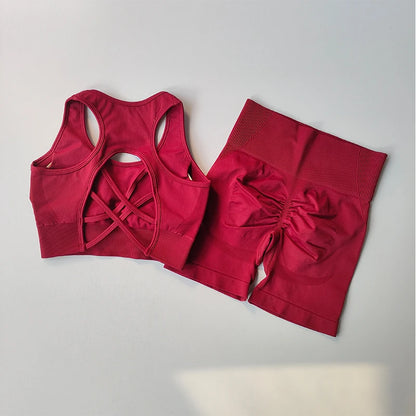 2-Piece Women’s Seamless Yoga Set – Sexy Sport Bra & High-Waist Shorts, Sleeveless Gym Fitness Workout Sportswear