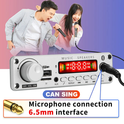200W Bluetooth Amplifier Board - DIY MP3 WAV Decoder with USB, TF Card, FM Radio & Microphone, DC 12V