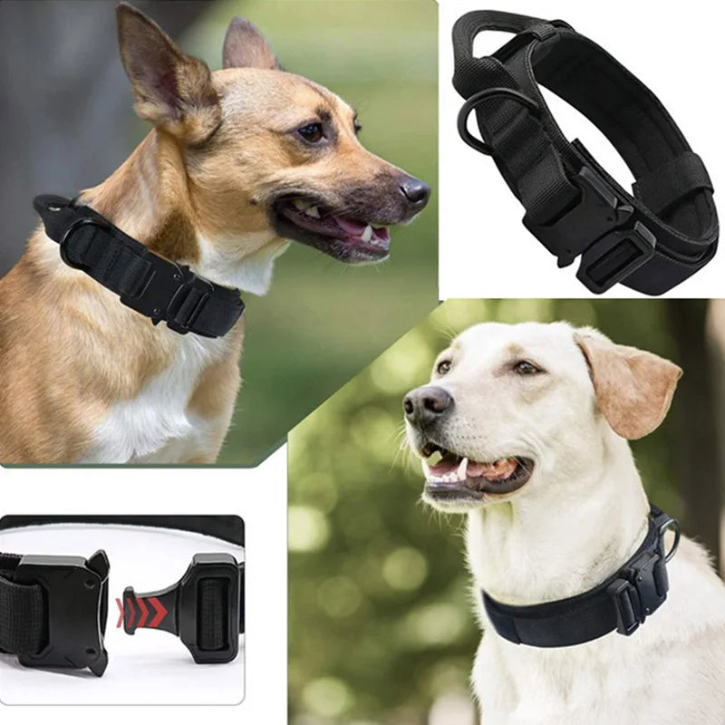 Adjustable Tactical Dog Collar with Traction Rope – Military Training Collar for Medium & Large Dogs