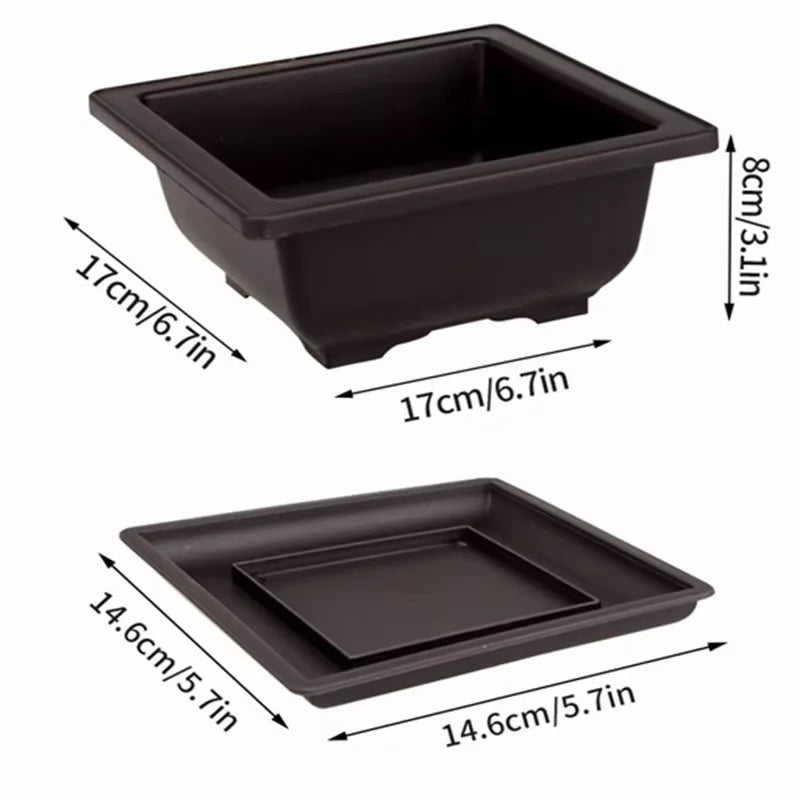 Purple Clay Succulent Plant Pots – Outdoor Garden Bonsai Planters, Rectangular & Square