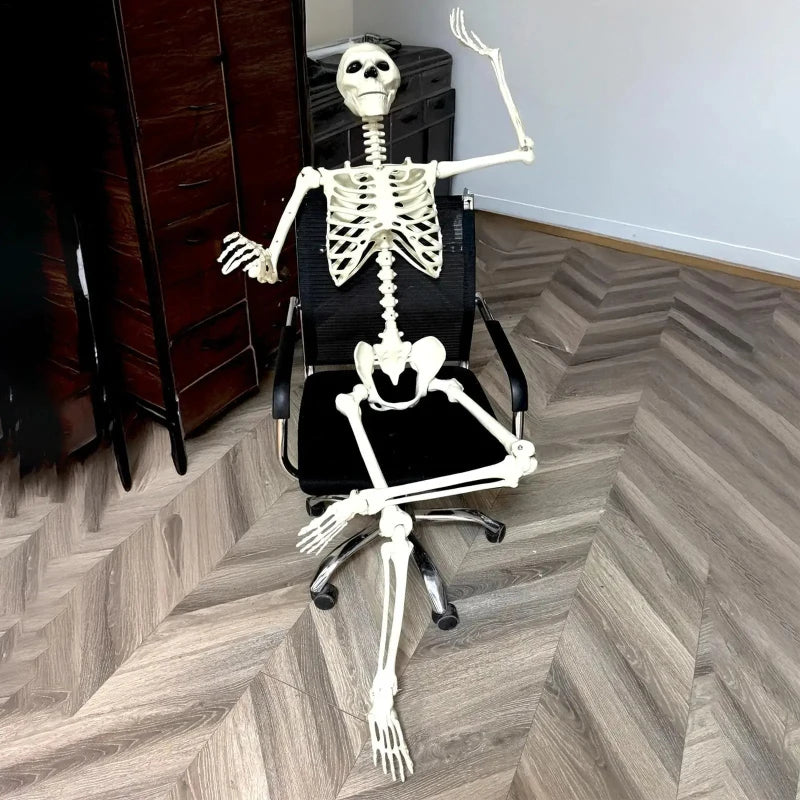 Halloween Life Size Human Skeleton Decoration — Realistic Body Bones with Posable Joints for Haunted House Horror Props