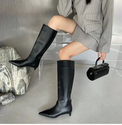Aneikeh 2025 Fashion Sexy Pointed Low Heel Knee-High Boots – Women's Spring/Autumn PU Western Party Boots (Size 35-40)