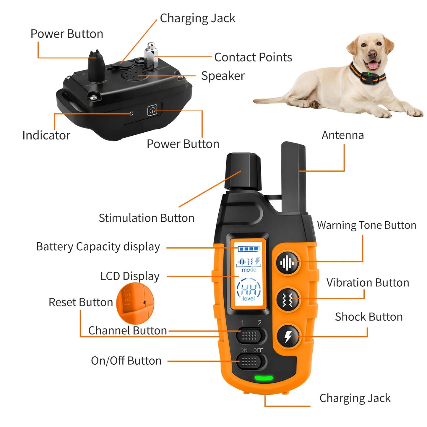 3300Ft Electric Dog Training Collar - Remote Control, Waterproof, Shock & Vibration for 5-120lbs Puppies, Pet Behavior Training