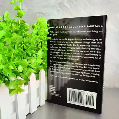 The Mountain Is You – Transforming Self-Sabotage Into Self-Mastery, English Book