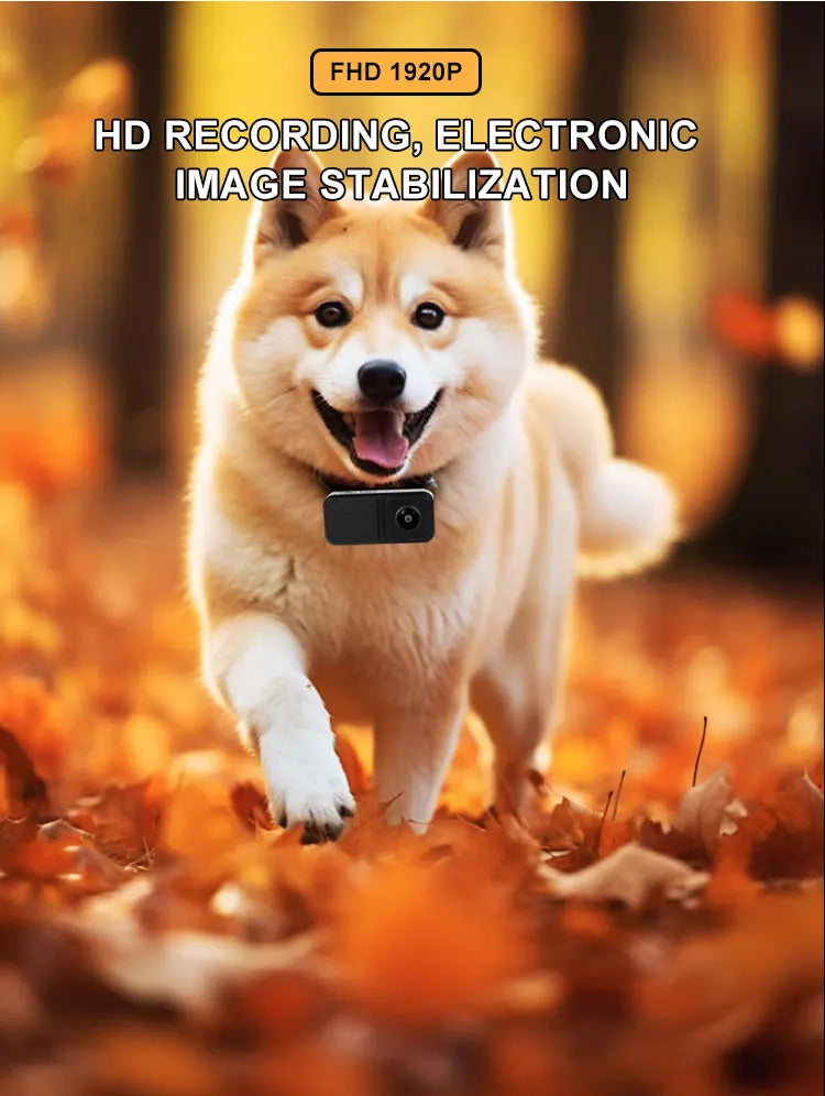 BORME HD 1080P Pet Camera – Wireless Collar Camera for Dogs and Cats, No WiFi Needed, Video Recording, Perfect Birthday Gift