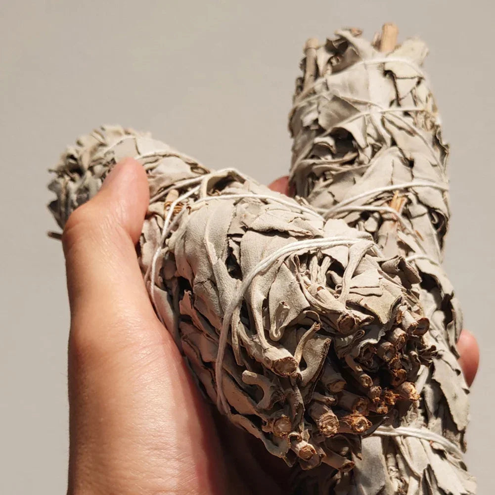 Natural White Sage Bundles – Smudge Sticks for Indoor Purification & Home Cleansing, Aromatic Leaf Bundle